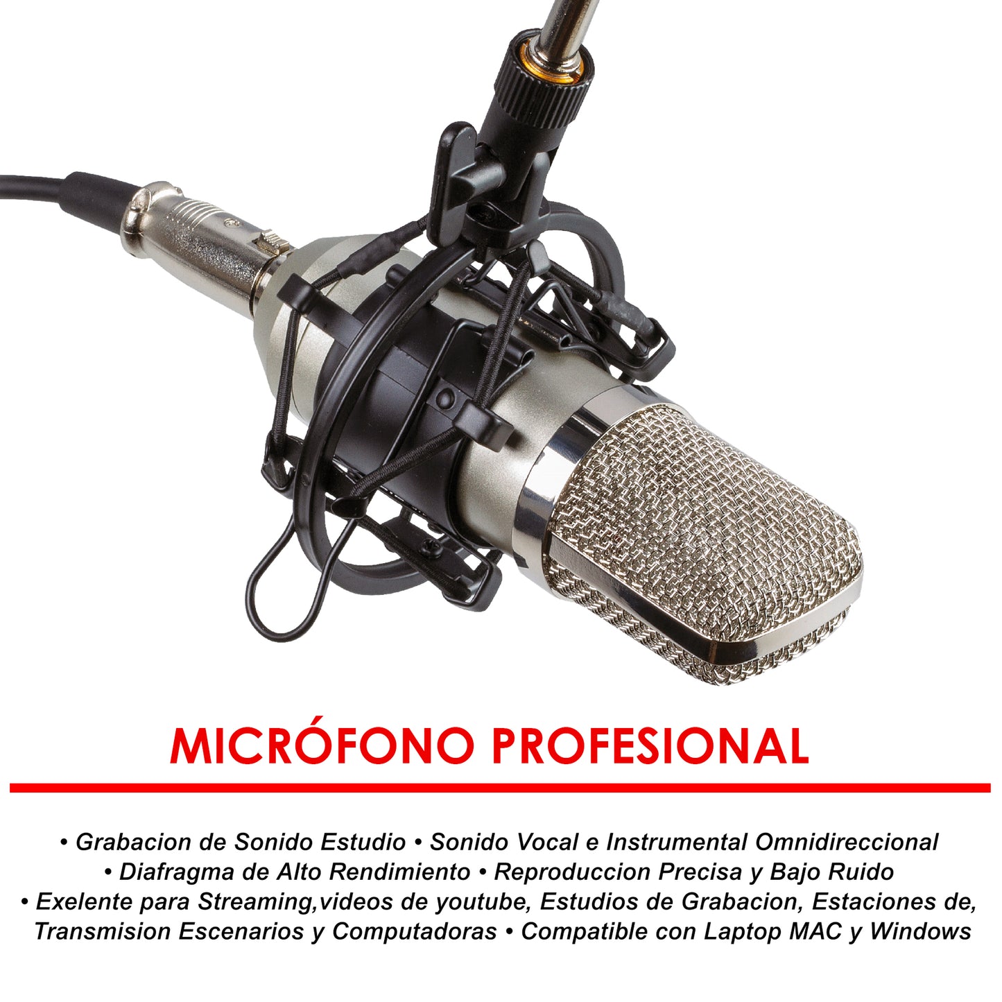 Micrófono Profesional Cardioide Para Streaming con Soporte Para Estudio de Grabación