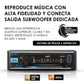 Autoestéreo De 100w X4 Max De Caratula Desmontable, AXEL-009